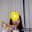 이예솔ㅣ초2ㅣThe Tiger and the Dried Persimmon 이미지