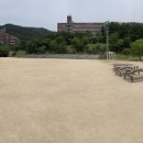 운산천 티스토리