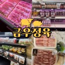 알파 포항연일점 | 포항 정육점 금우정육 캠핑 장보기 후기