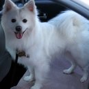 함경면옥 이미지