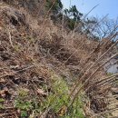 양푼이비빔밥 이미지