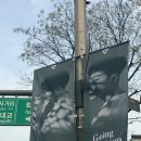 압구정로 이미지