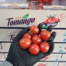 💎🥭대만 애플망고 🍑 황금도 복숭아 🍑신비/신선복숭아 🍑 대극천 복숭아 🍑 플럼코트 ⛰️ 산딸기 🍊 하우스밀감 🫐 유레카 이미지