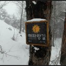 괘방산(掛榜山 : 339m) : 강원강릉 / 2022년02월22일(화) 이미지