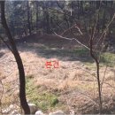 아가페온누리약국 이미지