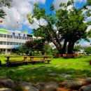 곡성군립노인전문병원 이미지