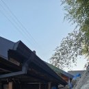 서천 판교 구 동일주조장 | 충남 서천 가볼만한 곳) 육비가(육회비빔밥/미역국 맛집)-신성리 갈대밭-판교 시간이멈춘마을 등록문화...