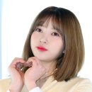 로하글로벌 이미지