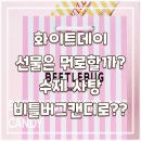 비틀버그(Beetle Bug) | 화이트데이 사탕 특별한 수제 캔디 비틀버그Beetle Bug