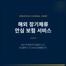 닥터카크리닉카젠 | 이탈리아/네덜란드/호주 병원 경험담과 팁 +이탈리아 헬스장 필수 준비물?!