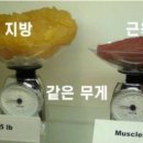 제이티 휘트니스 이미지