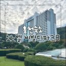 BB당구장 | 강원도 홍천 숙소 | 소노벨 비발디파크B 스위트(오크 취사/스탠다드/침대) 숙박 후기