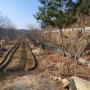 유성나무공인중개사사무소 이미지