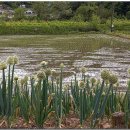 도전보건진료소 이미지