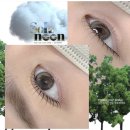 유니코안경 | 속눈썹 유목민들의 최종 정착지 제주속눈썹펌맛집 내돈내산 후기 | 제주시 연동 ‘솔이눈’