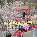 하늘25 | 김해 벚꽃 명소 가야랜드 콘돌스카이 하늘자전거 웨이팅 후기 25년 3월 29일 일요일 오후 방문