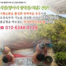 수양쑥뜸방