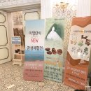 어린이 체험전 「가루나무모래흙」 이미지