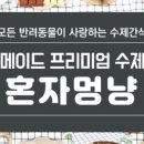 혼자멍냥 이미지