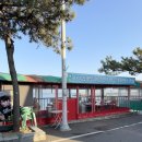 만성리해변횟집 옆 이미지