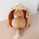 미유컴퍼니