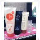 가미담 Daum카페