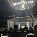 펀치라인복싱 미아삼양점 | 블랙컴뱃 넘버링 16 직관 후기 [국제체육관홀리...복싱 강북구킥복싱 길음역복싱 수유역복싱 수유역...