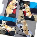 (주)베스트무역 이미지