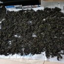 송암농원 이미지