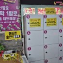 365오락실 이미지