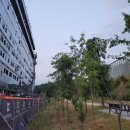 금강카센타 이미지