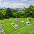 자동차대학 이미지