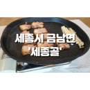 세종골