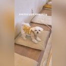 스테이수목 이미지