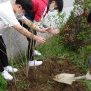 송내중앙중학교 이미지
