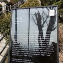 인왕산- 인왕사 선바위를 보고 서울성곽길로 범바위,정상을 지나 윤동주시인의 언덕으로 이미지