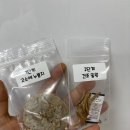 단촌초등학교 이미지