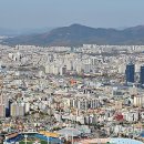 치유의숲 진입도로 이미지