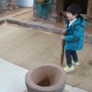 감귤박물관 이미지