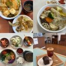 제주가 | 제주도 비건맛집 카페 투어 총 8곳 후기 (제주시 위주)