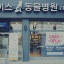 모래내동물병원 이미지