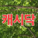 000-3-000011 이미지