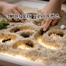 아이손미술학원 | 세종 아이라이크그린앤퍼포먼스 미술학원 아이 원데이 클래스 참여 후기 (36개월 이하 위드맘수업)