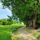 초정목장 이미지