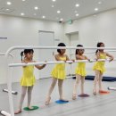 까리따스 성모 유치원 네이버블로그