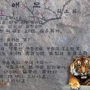 A&K갤러리 Daum카페