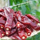 솔숲농원 이미지