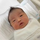 전동물병원 | 대전서울여성병원 제왕절개 4박 5일 입원실 후기