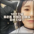 헤어쭈 네이버블로그
