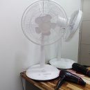 킹콩 복싱 아카데미 이미지
